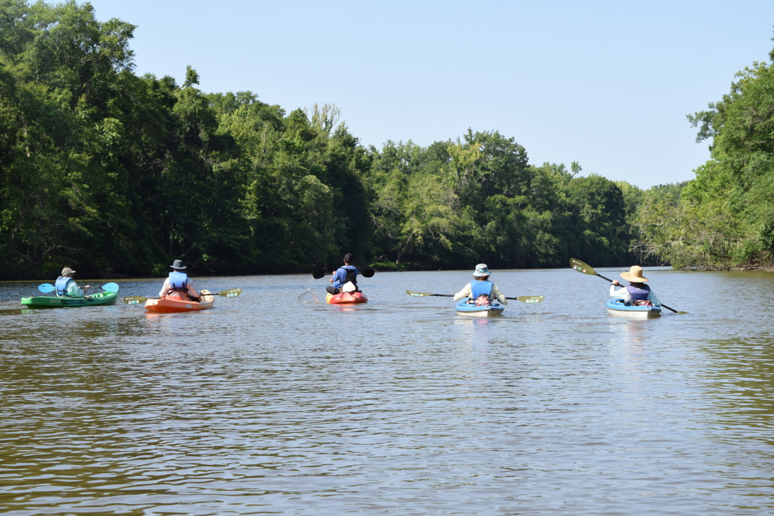 Escape to Mound Island: Kayaking Through the Heart of the Delta to