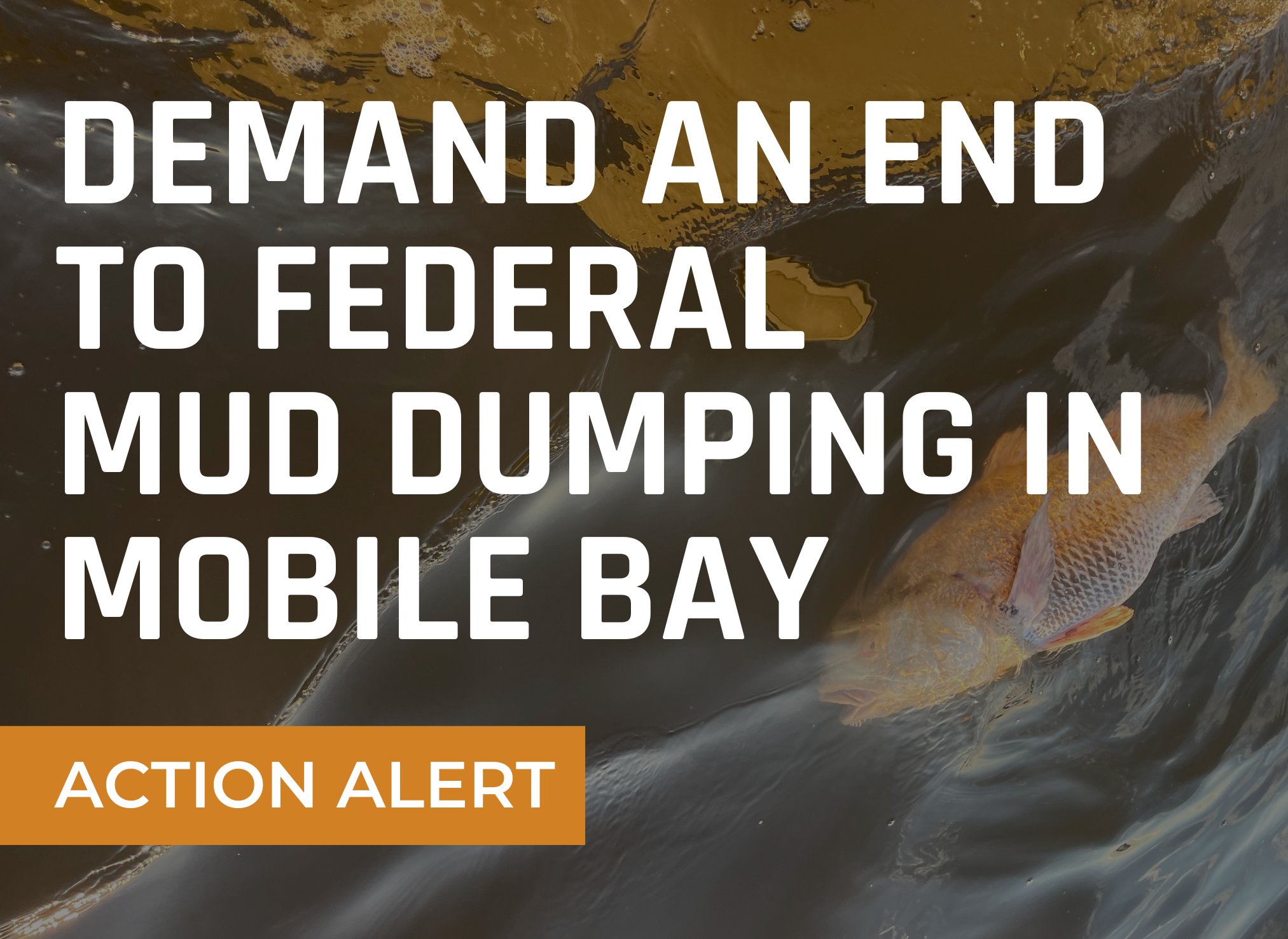 Stop Federal Mud Dumping